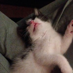 Meet your Posher, Brendan